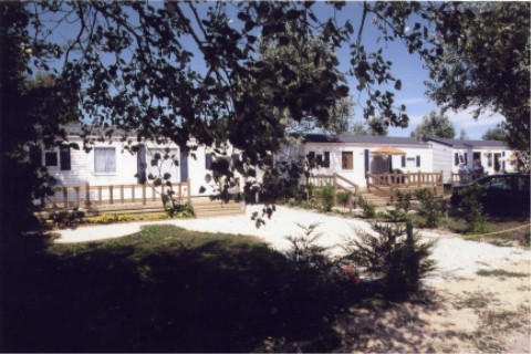 wmh04.jpg